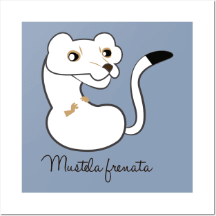 Long tailed weasel 2 Posters and Art